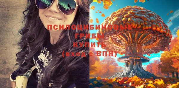 прущие крисы Алексеевка