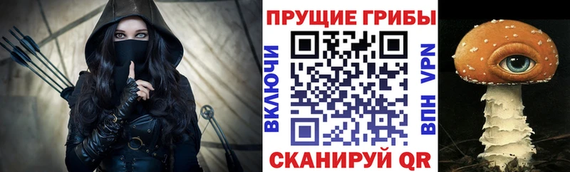 Псилоцибиновые грибы Psilocybe  что такое   Южно-Сахалинск 
